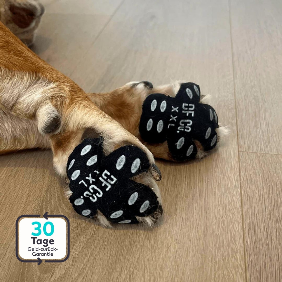 PawGuard Pads | Ultimativer Schutz für die Pfoten deines Hundes (5 sets)