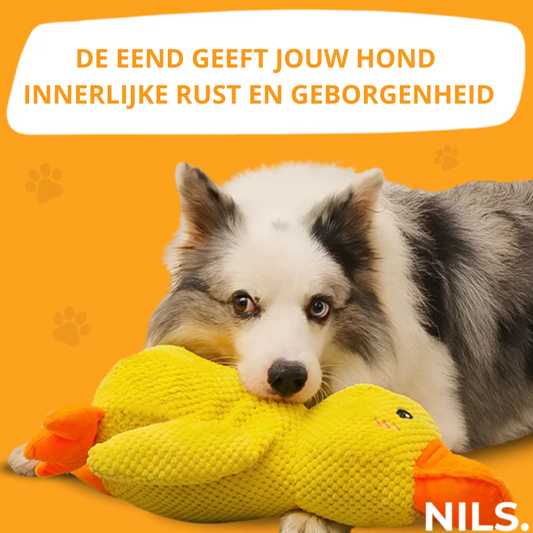 Serenosole™ CalmBuddy Anti-Stress Ente Hundespielzeug | Das ultimative Kuschelspielzeug für einen stressfreien Hund | Bester Stresskiller für Hunde 2024