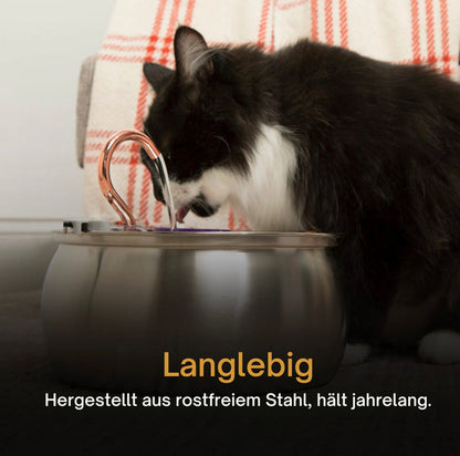 Serenosole™ AquaCat | Halte deine Katze hydratisiert und gesund | Schlaueste Hydration 2024