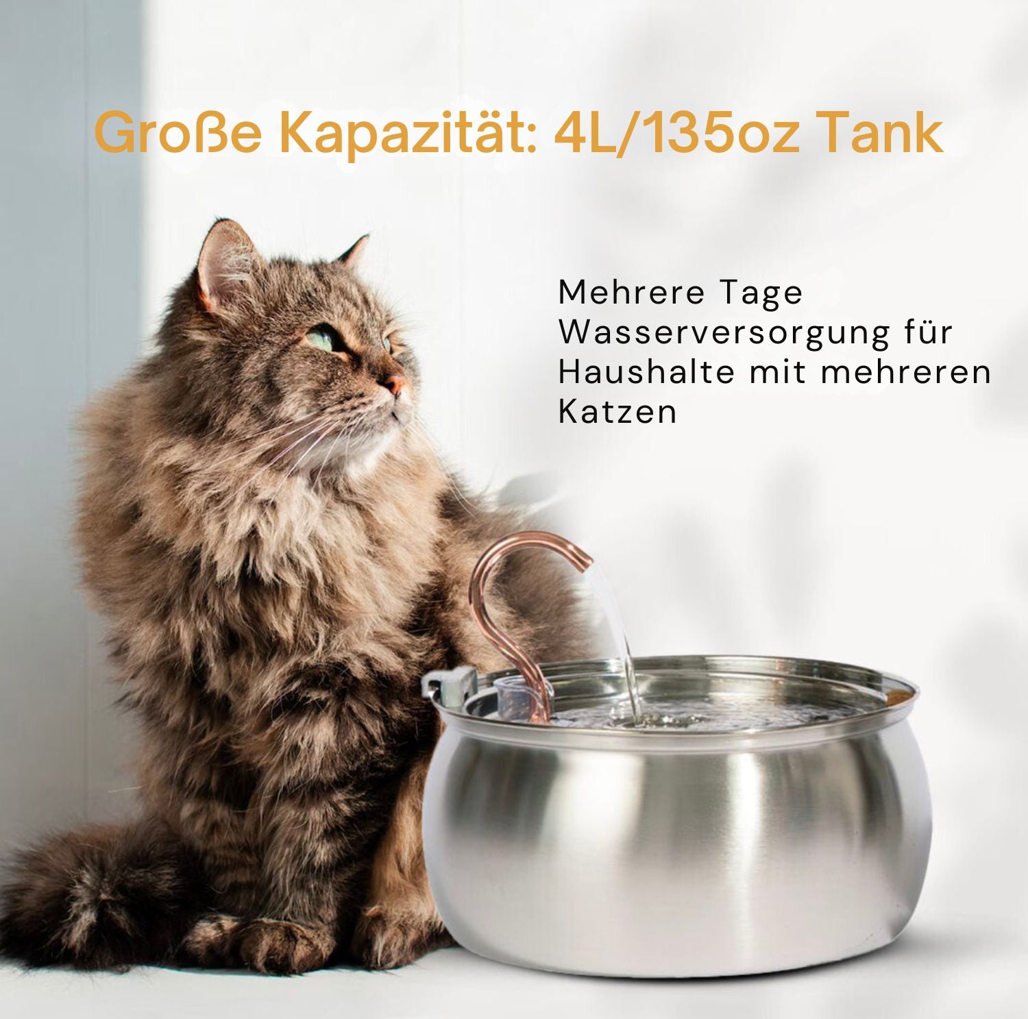 Serenosole™ AquaCat | Halte deine Katze hydratisiert und gesund | Schlaueste Hydration 2024