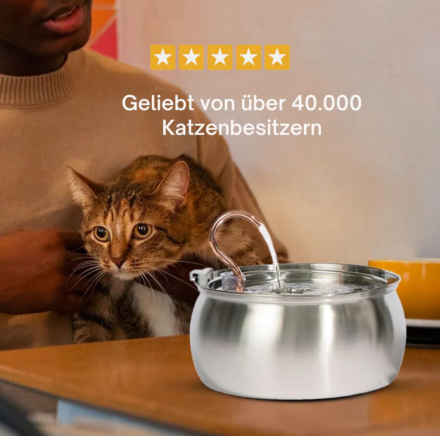 Serenosole™ AquaCat | Halte deine Katze hydratisiert und gesund | Schlaueste Hydration 2024