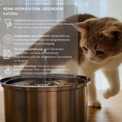 Serenosole™ AquaCat | Halte deine Katze hydratisiert und gesund | Schlaueste Hydration 2024