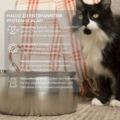 Serenosole™ AquaCat | Halte deine Katze hydratisiert und gesund | Schlaueste Hydration 2024